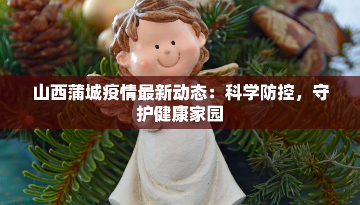 山西蒲城疫情最新动态：科学防控，守护健康家园