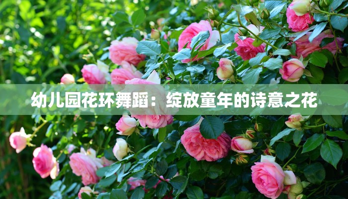 幼儿园花环舞蹈：绽放童年的诗意之花