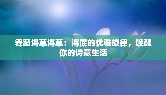邛崃市韩版西服团购店：时尚韩风，尽享品质与实惠