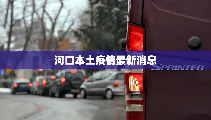 最新疫情封关：守护家园，迎接新生