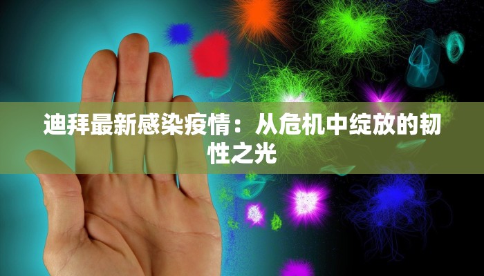 迪拜最新感染疫情：从危机中绽放的韧性之光