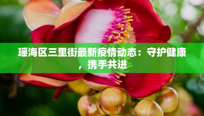 瑶海区三里街最新疫情动态：守护健康，携手共进