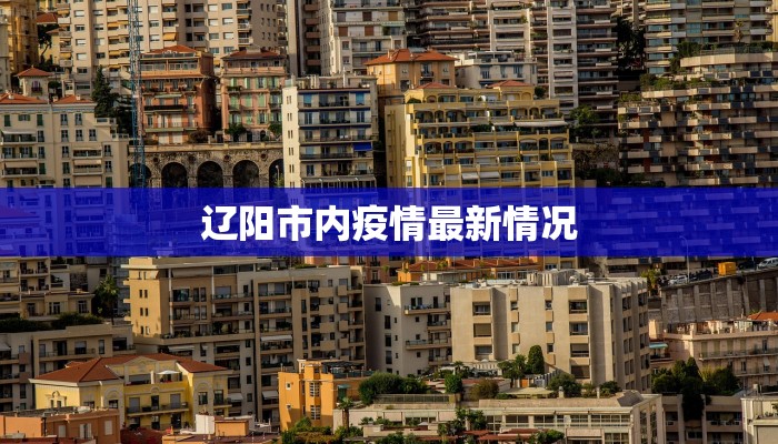 辽阳市内疫情最新情况