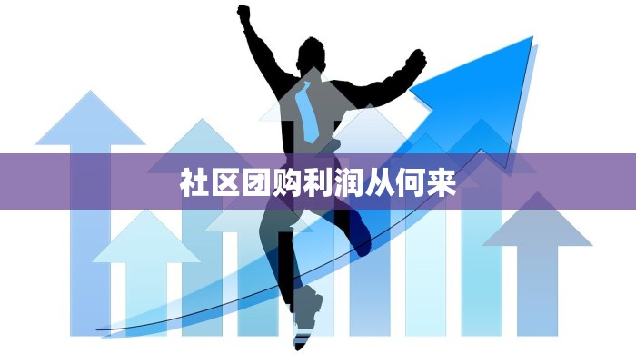 社区团购利润从何来