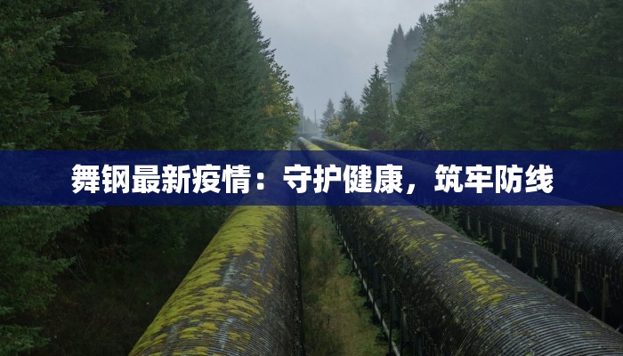 舞钢最新疫情：守护健康，筑牢防线
