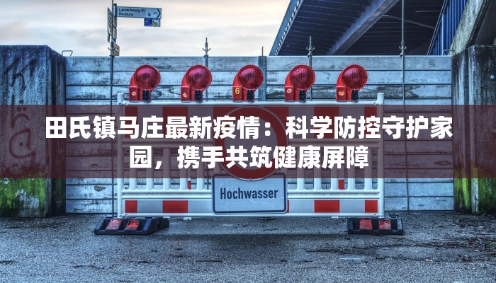 田氏镇马庄最新疫情：科学防控守护家园，携手共筑健康屏障