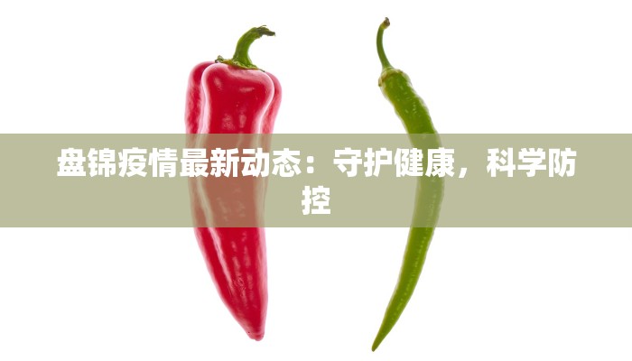 盘锦疫情最新动态：守护健康，科学防控