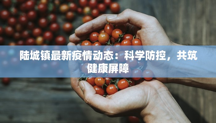 陆城镇最新疫情动态：科学防控，共筑健康屏障