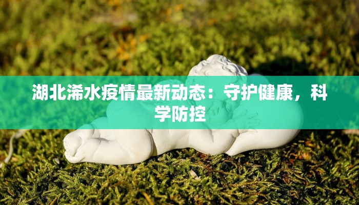 湖北浠水疫情最新动态：守护健康，科学防控