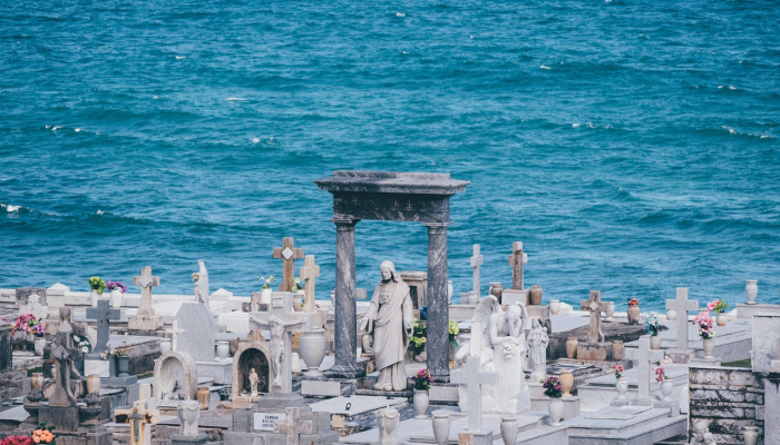 上海疫情下降最新情况：城市回暖、生活回归的多重信号