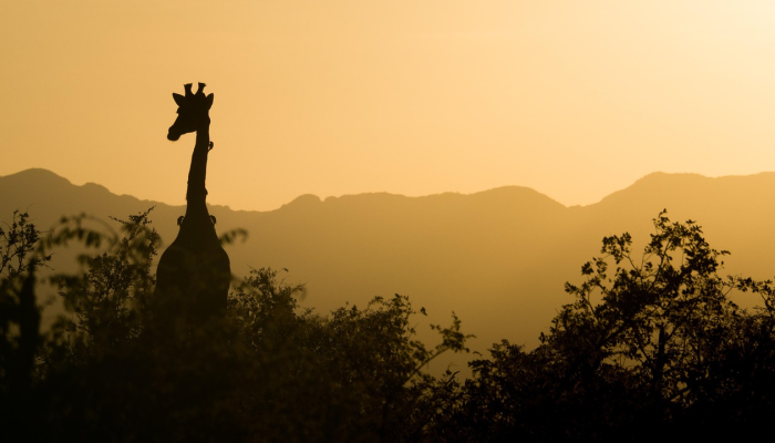 年初国外旅游：用一场新年旅行迎接更好的自己