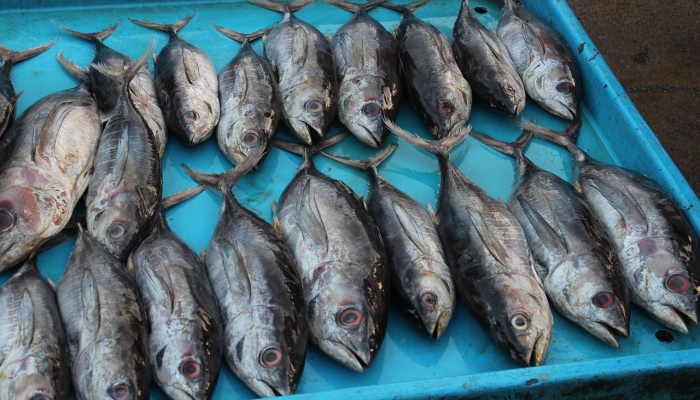 杭州攻略疫情最新