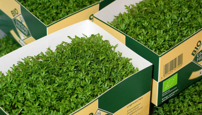 味道花园团购——把每一次团购都变成家庭的味觉狂欢