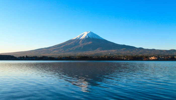 云南最新疫情：禄丰动态与温暖应对