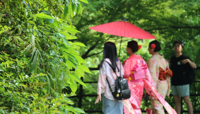 日本和服：一袭传统之美，触碰千年的温柔