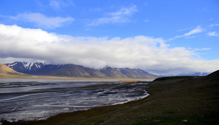 凌源省最新疫情:防控动态与民生应对全景指南 凌源省最新疫情:防控动态与民生应对全景指南