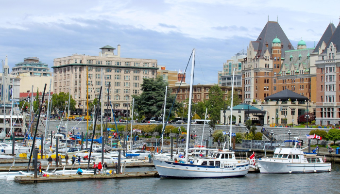 沧州最新疫情朗诵