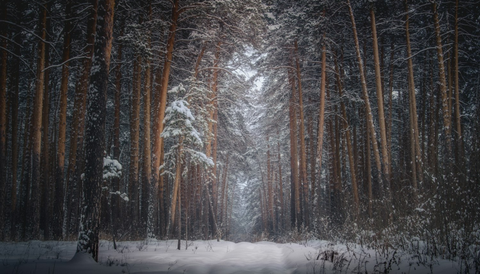 最新川汇区疫情通知——同在一座城，守望相助的新篇章