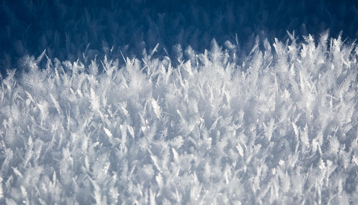 疫情最新数据安阳地区