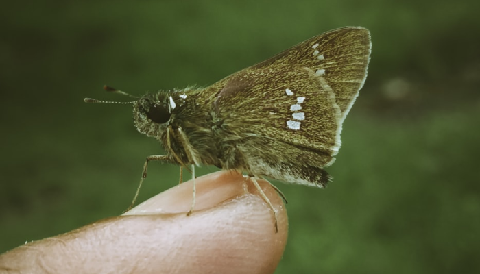 最新哈市学院疫情：校园防控、关怀与复学的温度