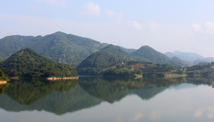 河南嵩县最新疫情：从防控到重建，一座县城的应对与希望