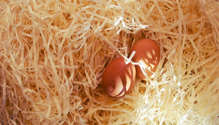 温岭美食团购酸菜鱼片:鲜香酸辣,万人赞不绝口 温岭美食团购酸菜鱼片:鲜香酸辣,万人赞不绝口